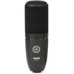 AKG P120